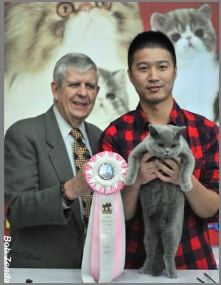 Kittiesland Dream a Blue Doll